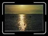 v13 * 800 x 549 * (169KB)