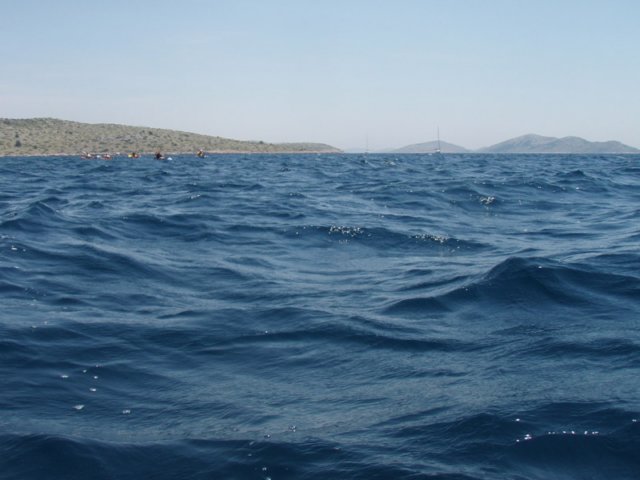 p6130138.jpg