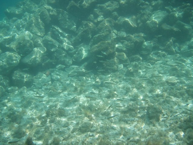 p6140065.jpg