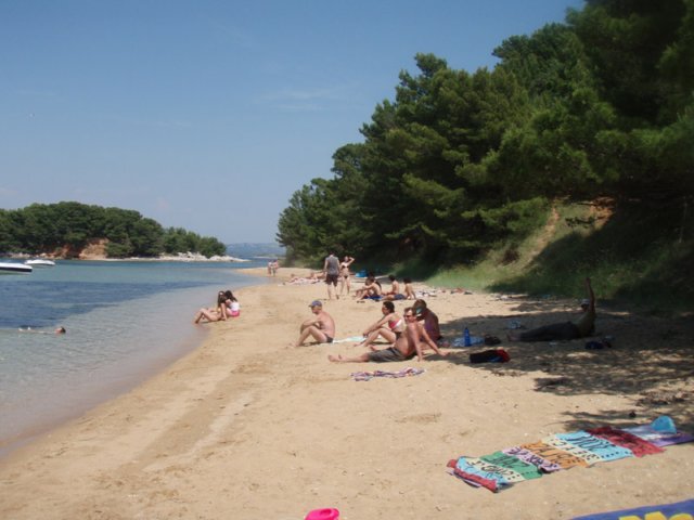 p6150091.jpg
