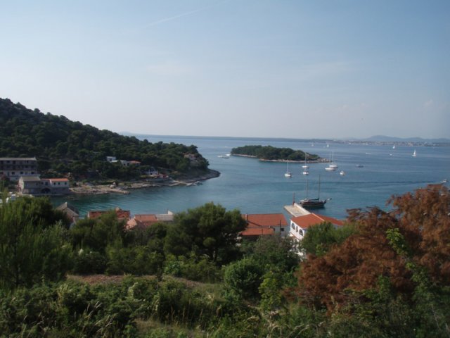 p6150096.jpg