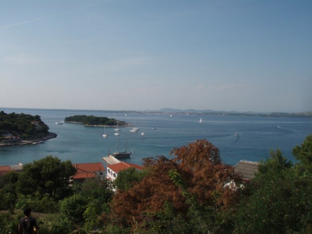 p6150099.jpg